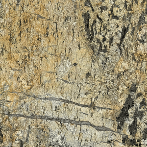 exotic gold granite