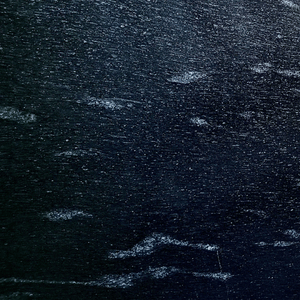 fish black granite